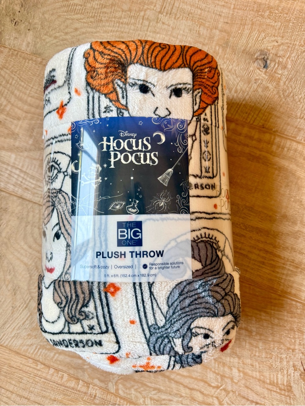 Disney Hocus Pocus The Big One Throw Blanket 60x72 Halloween Binx Cat Witch NEW - Picture 4 of 7